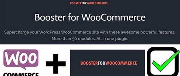 Booster Plus for WooCommerce v5.4.1