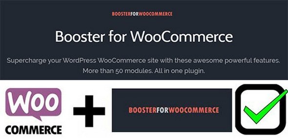 Booster Plus for WooCommerce v5.4.1