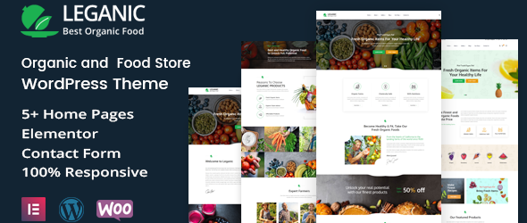 Leganic v1.2 - Organic and Food Store WordPress Theme