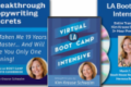 Virtual LA Boot Camp Intensive – Kim Krause Schwalm