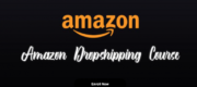 Andrew Giorgi – Amazon Dropshipping Course