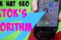 Chris Palmer – TikTok SEO How to Rank TikTok Videos
